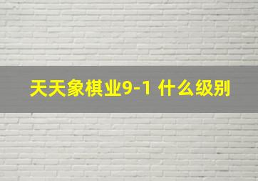 天天象棋业9-1 什么级别